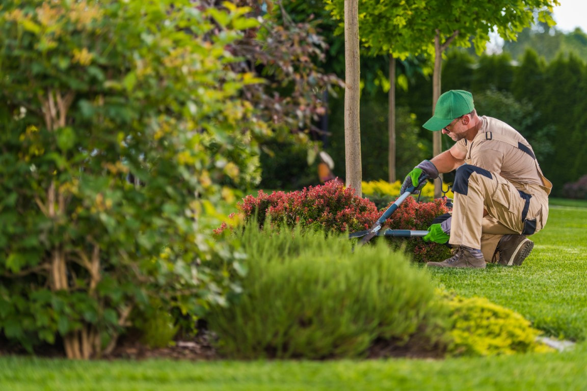 An image of Landscaping Services in Zionsville, IN
